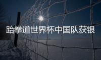 快排公司十年历程，霸屏兔 seo 的崛起与坚守