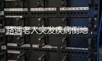 快排公司十年历程，霸屏兔 seo 的崛起与坚守
