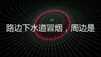 快排公司十年历程，霸屏兔 seo 的崛起与坚守