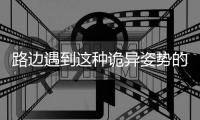 路边遇到这种诡异姿势的鸟，别碰！赶紧远离！