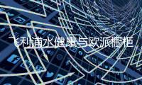 快排公司十年历程，霸屏兔 seo 的崛起与坚守