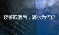 快排公司十年历程，霸屏兔 seo 的崛起与坚守