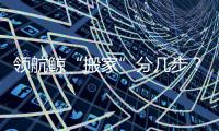 领航鲸“搬家”分几步
？为啥要抹凡士林？