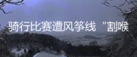 快排公司十年历程，霸屏兔 seo 的崛起与坚守