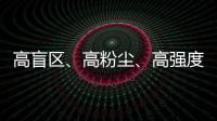 快排公司十年历程，霸屏兔 seo 的崛起与坚守