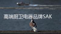 快排公司十年历程，霸屏兔 seo 的崛起与坚守