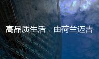 快排公司十年历程，霸屏兔 seo 的崛起与坚守
