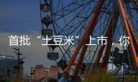 首批“土豆米”上市	，你吃过吗？
