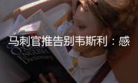 快排公司十年历程，霸屏兔 seo 的崛起与坚守
