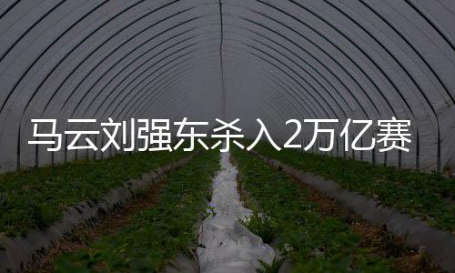 但从整个即时零售赛道来看