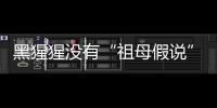 黑猩猩没有“祖母假说”模式？