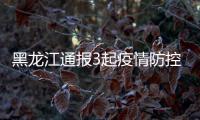 黑龙江通报3起疫情防控中形式主义官僚主义问题