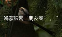 鸿蒙织网“朋友圈”，“这是决定生死的一战”