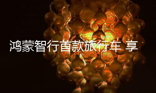 参考享界S9车型的智行定价