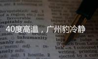 40度高温
，广州豹冷静布局