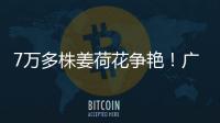 7万多株姜荷花争艳！广州白云第三届姜荷花文化节本周五开幕