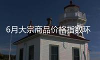 6月大宗商品价格指数环比上涨0.5%
�，市场运行稳中有进