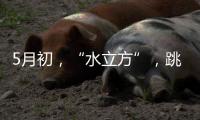 5月初
，“水立方”
，跳水“梦之队”全主力出击
！