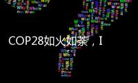 快排公司十年历程，霸屏兔 seo 的崛起与坚守