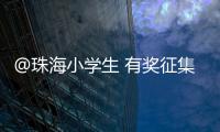 快排公司十年历程，霸屏兔 seo 的崛起与坚守