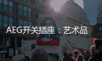 AEG开关插座：艺术品位奠定高端定位