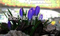 AI安防兴起
，旷视科技能否打破三大死穴?