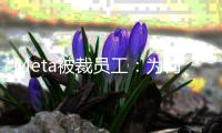 Meta被裁员工：为何盲目扩招却要我们来买单