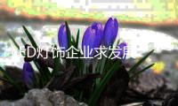快排公司十年历程，霸屏兔 seo 的崛起与坚守