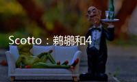 快排公司十年历程，霸屏兔 seo 的崛起与坚守