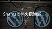 Shams：热火把鲍威尔视作和希罗&阿德巴约长期搭档的合适人选