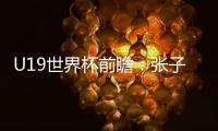 U19世界杯前瞻�	：张子宇缺席3中锋最高1.95米 实力榜第七仍能冲8强