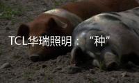 TCL华瑞照明：“种”一片翠绿�，让生活和工作更添生机