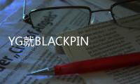 YG就BLACKPINK演唱会视野限制席争议道歉 ：“将采取后续措施”
