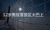 12岁男孩落景区大巴上坐过站，导游“未清点人数、态度不好”遭孩子父亲殴打；玉龙雪山警方：正侦办