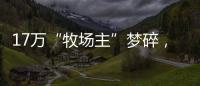 17万“牧场主”梦碎�，养羊理财平台众牧宝被查