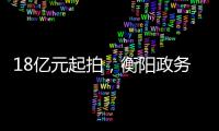 18亿元起拍，衡阳政务数据资源特许经营权转让为何暂停？