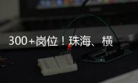 快排公司十年历程，霸屏兔 seo 的崛起与坚守