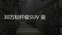 快排公司十年历程，霸屏兔 seo 的崛起与坚守