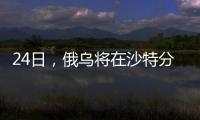 快排公司十年历程，霸屏兔 seo 的崛起与坚守