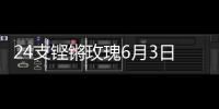 24支铿锵玫瑰6月3日珠海开战！老将新秀齐上阵