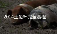 快排公司十年历程，霸屏兔 seo 的崛起与坚守