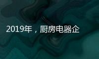 2019年	，厨房电器企业要把握好创新和风格两大旗帜