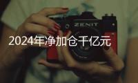 2024年净加仓千亿元，寿险“头雁”还看好股市吗？｜透视金融业2024年年报④