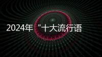 2024年“十大流行语”发布
，“未来产业”“city不city”等入选