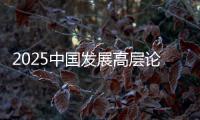2025中国发展高层论坛
：真诚欢迎国际资本回归中国