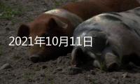 2021年10月11日，外交部新闻发言人赵立坚主持例行记者会答问澳门月刊记者