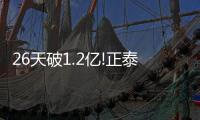 快排公司十年历程，霸屏兔 seo 的崛起与坚守