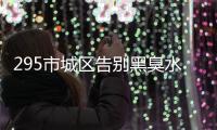 快排公司十年历程，霸屏兔 seo 的崛起与坚守
