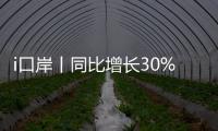 快排公司十年历程，霸屏兔 seo 的崛起与坚守