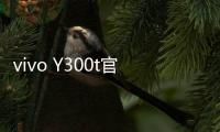 vivo Y300t官宣3月31日发布：超长续航，超强性能